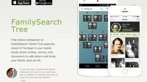 Attaching Blue Boxes Sources on FamilySearch Tree App Family History Tutorial Video 14