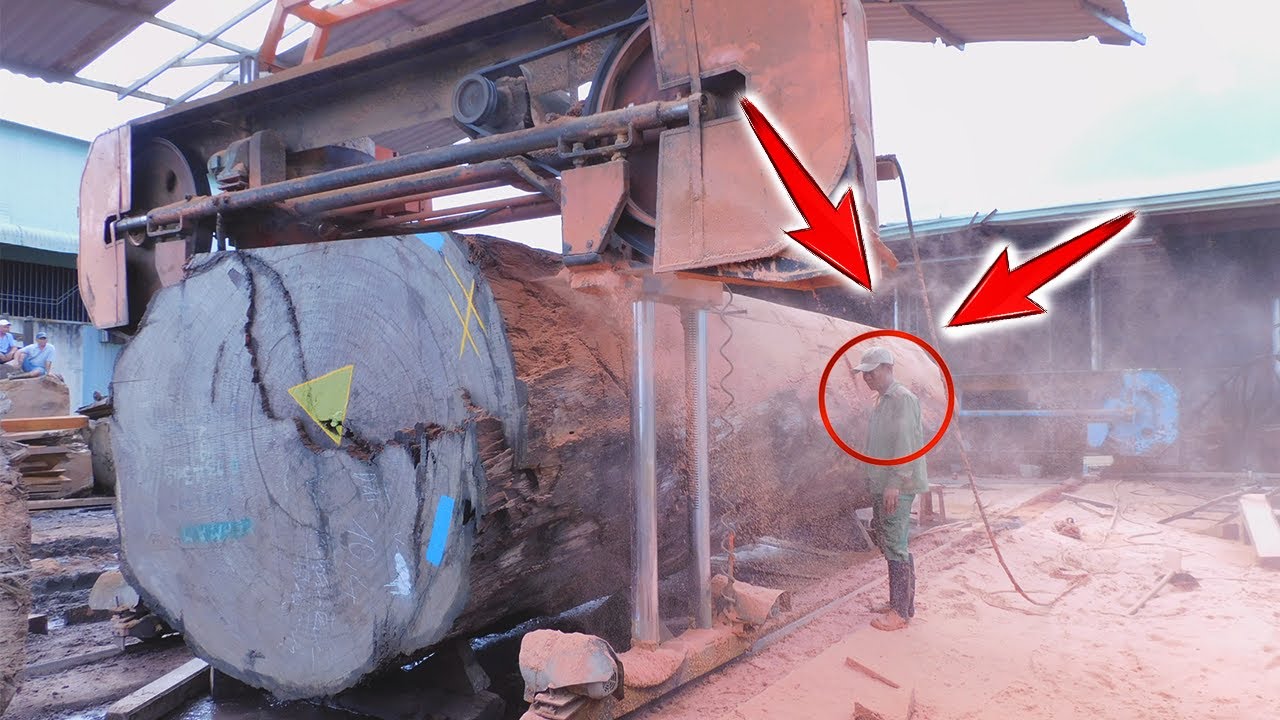 [ Big Wood Tree ] Giant Wood Saw Thousand Years Old  Cut into Long "Sheets Great Wood Saw"