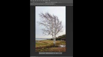 1 Click to replace the sky in Photoshop I Advanced Designer | #skyreplacement