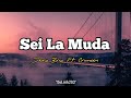 Sei la muda  dora bria ft criimson  official lirik musick 