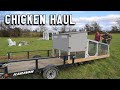 Moving our Chickens to the NEW Homestead