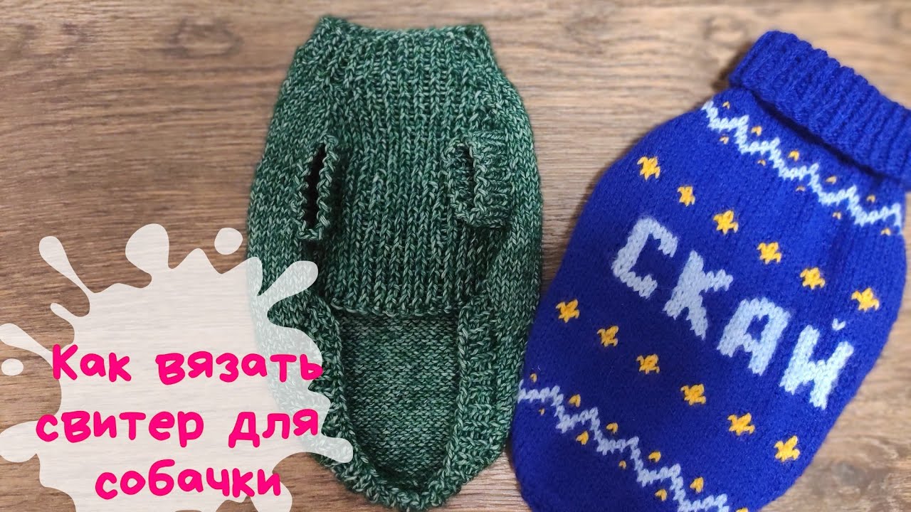 Свитер для собачки спицами