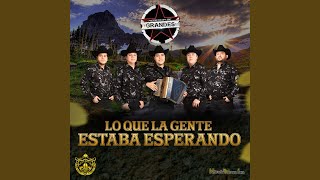 Ojitos de Golondrina