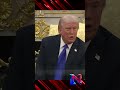Трамп: 'У меня хорошие разговоры с Путиным. Только ничего не происходит'