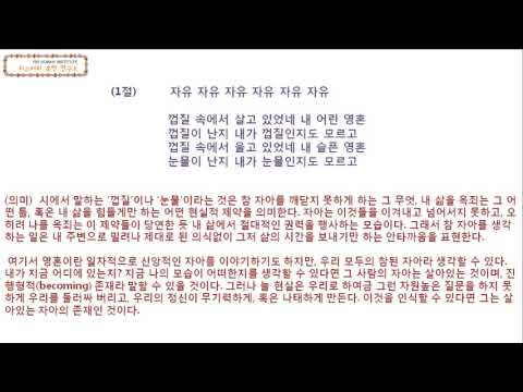 의미있는 노래 001 하덕규 자유  노래, 가사, 해설  지느러미 휴먼 연구소