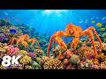 Marvel at Coral Reef Fish in The Best 8K ULTRA HD Aquarium - Explore The Mesmerizing Ocean World