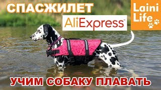 Учим собаку плавать | Спасжилет с AliExpress