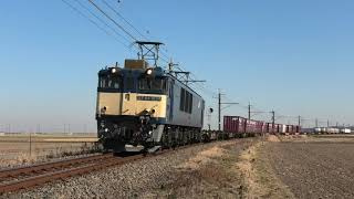 【鹿島貨物】EF64-1034+コキ 1094レ 下総神崎～大戸通過【4K】