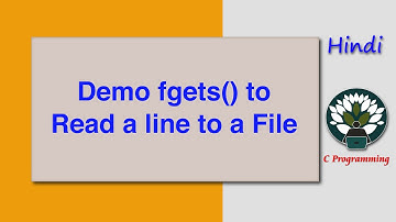HINDI Demo fgets() to Read a line to a File