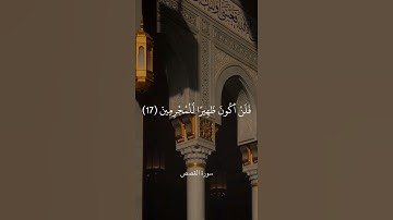 قَالَ رَبِّ إِنِّي ظَلَمْتُ نَفْسِي فَاغْفِرْ لِي فَغَفَرَ لَه || سورة القصص || علي جابر