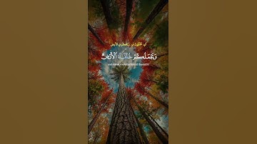 الآية التي توقظ القلوب 💔 | بصوت عبدالباسط