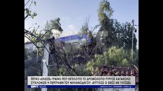 Δέντρο "έλιωσε" τρένο στον Πύργο - Σοκάρει ο μηχανοδηγός