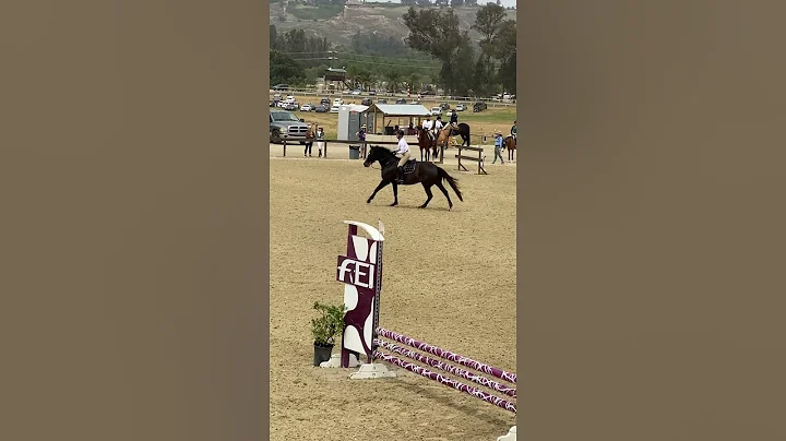 Cameo: Horse show