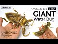 Giant Water Bug Action Figure (REVOGEO)