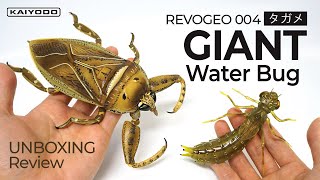 Giant Water Bug Action Figure (REVOGEO) - YouTube