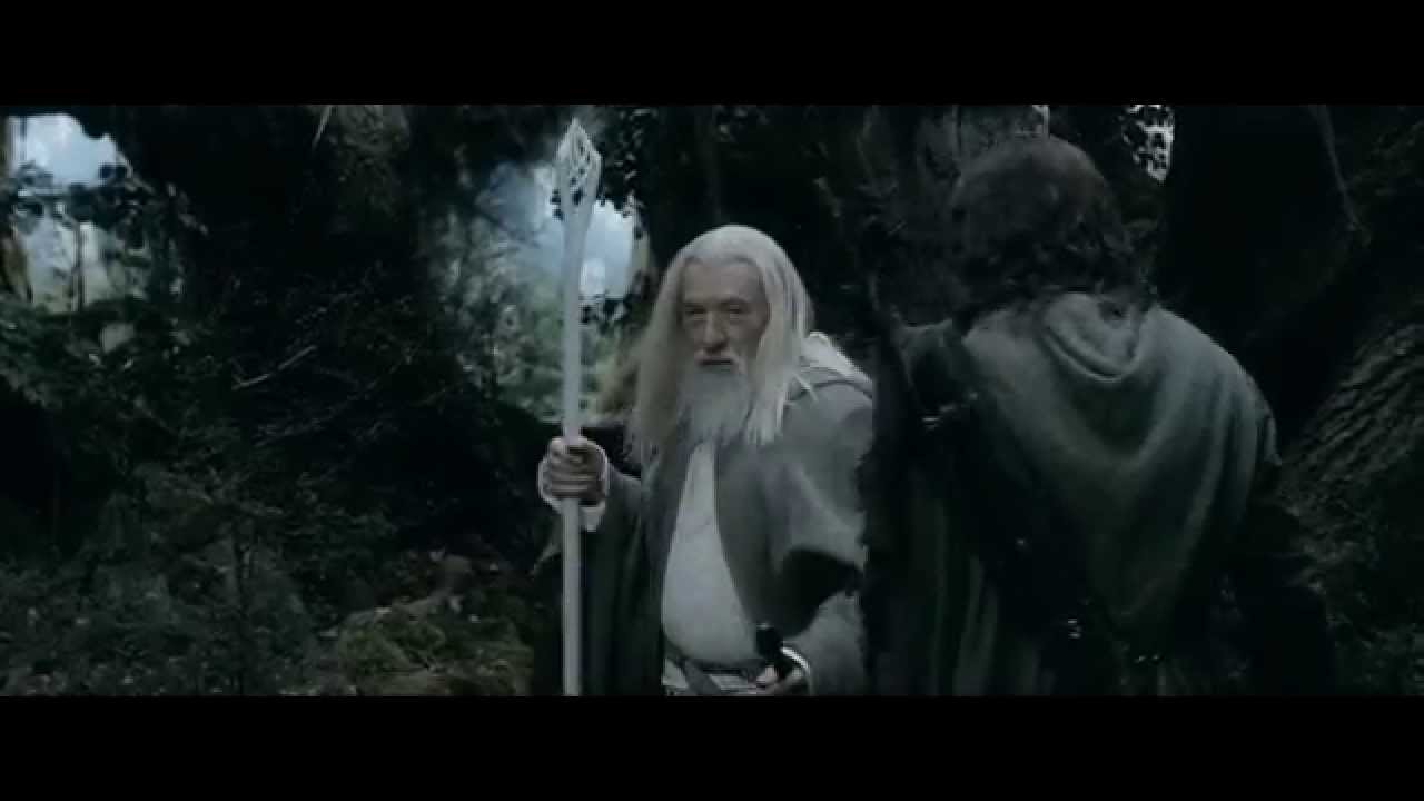The White Wizard The White Wizard