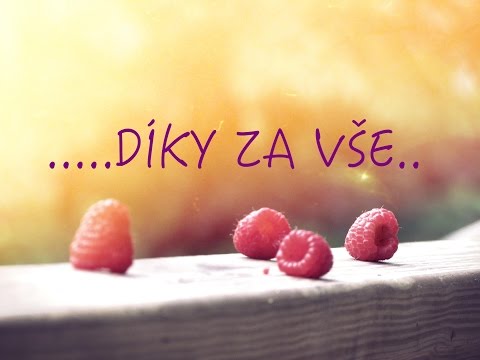 Vděčnost, klíč ke štěstí I Síla pro život