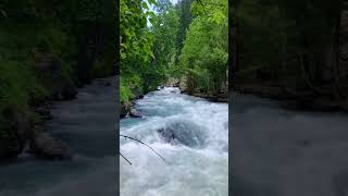 t#RiverFlow #SungaiDeras #NatureHealing #ForestVibes #WaterTherapy