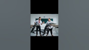 Capybara bị Trọc và Béo thả cá sấu vô lớp học. #capybara #capyvacasau #capyvatroc