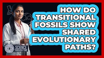 How Do Transitional Fossils Show Shared Evolutionary Paths?
