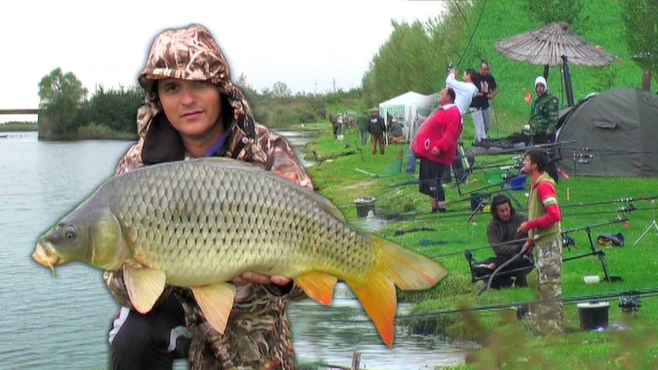 Pecanje šarana i amura - Revir na reci Jegrički kod Žablja - Takmičenje u pecanju šarana II deo