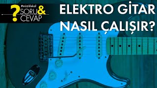 Zuhal Soru Cevap Elektro Gitar Nasıl Çalışır?