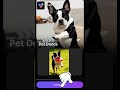 Watch Your Furry Friend Come Alive with Custom AI Dance Animations
