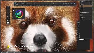 Painting fur Affinity designer (or Photo) Speedart