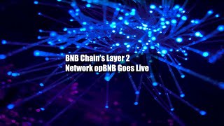 Bnb Chains Layer 2 Network Opbnb Goes Live