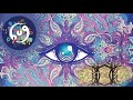 Capture de la vidéo Miyagi - Summer Memories - Earthjam Tribe Gathering 2020 09 12 (Chillgressive, Slow Trance Mix)
