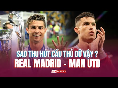 Vì sao REAL MADRID và MAN UTD là 2 điểm đến QUYẾT ĐỊNH Ý THỨC CHUYỂN NHƯỢNG của các cầu thủ?