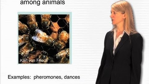 Behavior framework - Cori Bargmann (Rockefeller/HHMI)