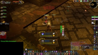 Vanilla WoW  Northdale  Fusion Guild  Feral Druid  Dungeons