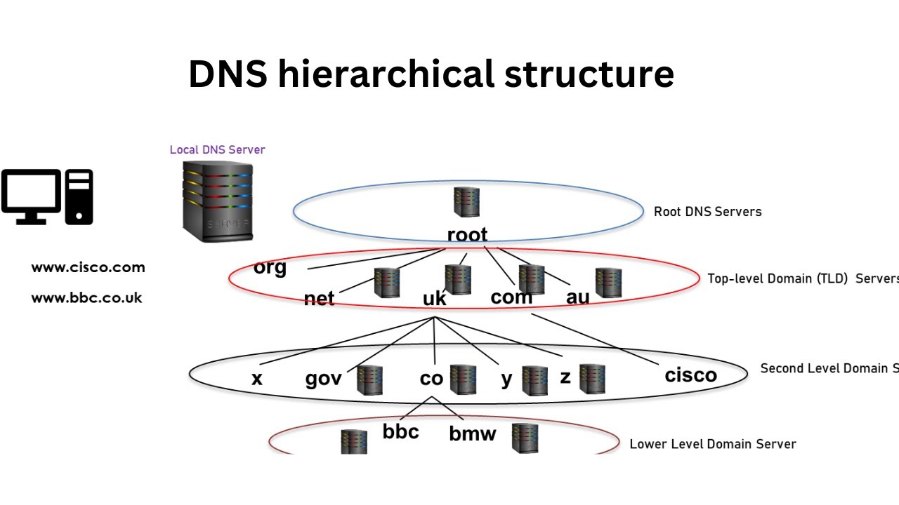 The domain registration hierarchy and WHOIS