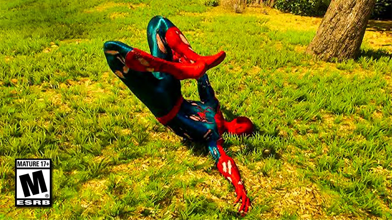 when you play Spider Man 2 on PC..