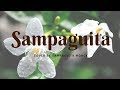 Sampaguita - Levi Celerio / Pilita Corales (a cover by Sampaguita Mönck)