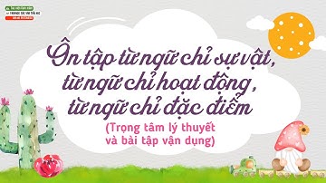 Từ chỉ sự vật - Từ chỉ hoạt động - Từ chỉ đặc điểm (Trọng tâm lý thuyết và bài tập vận dụng)