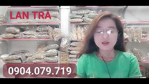 Rễ cà gai leo ngâm rượu được không ?