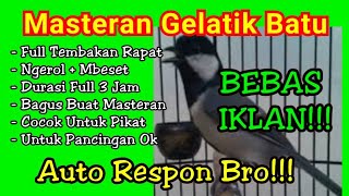 Masteran gelatik batu gacor full 2 jam bebas iklan