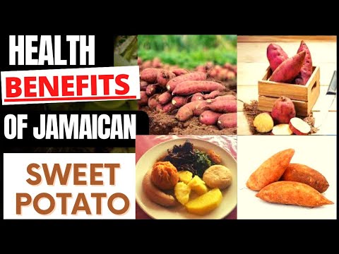 Jamaican SWEET POTATO, descriptions and HEALTH BENEFITS