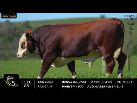 LOTE 005