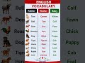 Animal Families 👨‍👩‍👦 | English Vocabulary Short | Learn Fast || English vocabulary