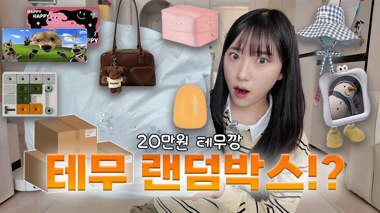 테무에 랜덤박스가 있다고?! 못 참고 다 사봄🔥 +20만원 테무깡