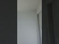 Live highlight