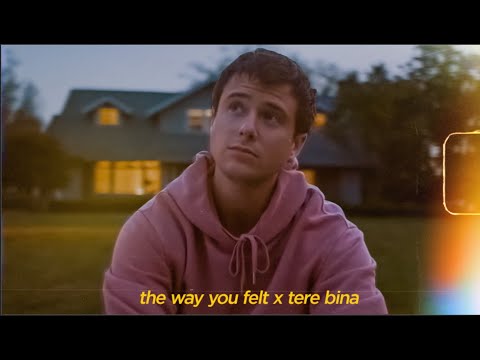 The Way You Felt x Tere Bina Lofi Mashup  Gravero  Happy Pills ft Anezka