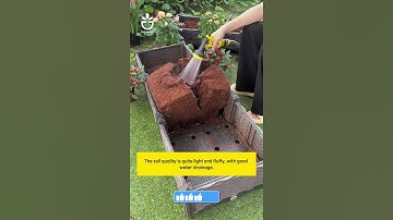 Use coco coir soil brick for your garden  #garden #namrose #gardening
