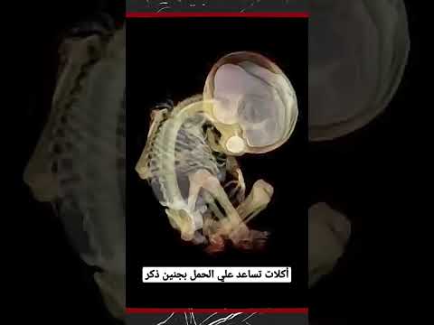 كيف يمكن الحمل بجنين ذكر