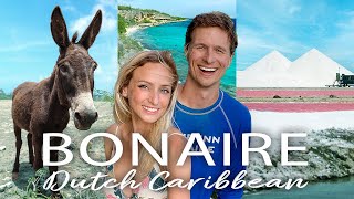 BONAIRE Travel Guide!  (30 BEST things to do, cost, & more  our vlog)