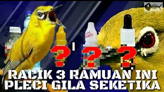 Selain perawatan,ini rahasia di balik pleci ngotottt bongkar isian