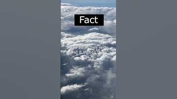 Largest Snowflake #shorts